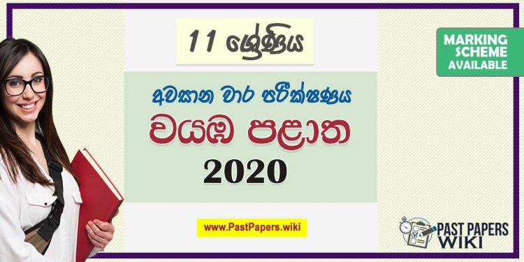 Third Term Test Papers 2020 | Grade 11 – North Western Province