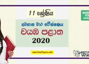 Third Term Test Papers 2020 | Grade 11 – North Western Province