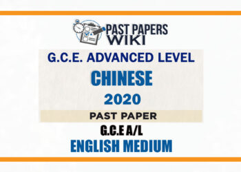 2020 A/L Chinese Past Paper | English Medium