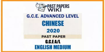 2020 A/L Chinese Past Paper | English Medium