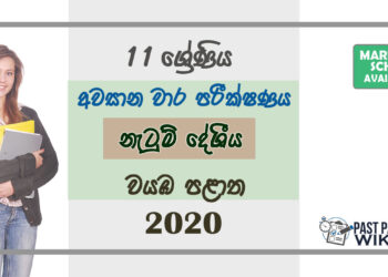 Grade 11 Dancing Paper 2020 (3rd Term Test) | North Western Province