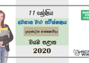 Grade 11 Electronic Technology Paper 2020 (3rd Term Test) | North Western Province