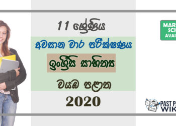 Grade 11 English Literature Paper 2020 (3rd Term Test) | North Western Province