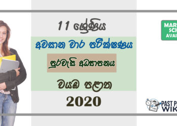 Grade 11 Citizenship Paper 2020 (3rd Term Test) | North Western Province