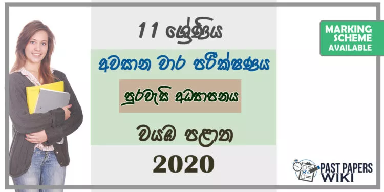 Grade 11 Citizenship Paper 2020 (3rd Term Test) | North Western Province