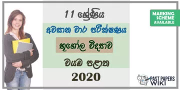 Grade 11 Geography Paper 2020 (3rd Term Test) | North Western Province