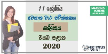 Grade 11 Mathematics Paper 2020 (3rd Term Test) | North Western Province