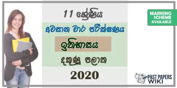 Grade 11 History Paper 2020 (3rd Term Test) | Southern Province