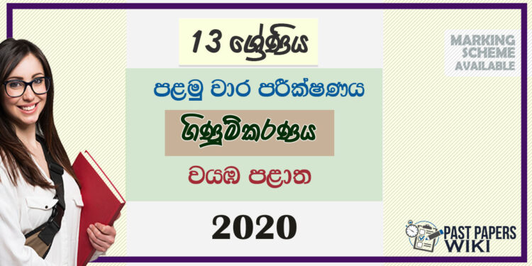 Grade 13 Accounting Past Paper 2020 (1st Term Test) | North Western Province