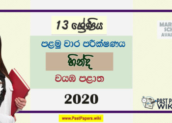 Grade 13 Hindi 1st Term Test Paper 2020 | North Western Province