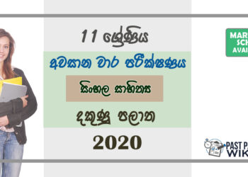 Grade 11 Sinhala Literature Paper 2020 (3rd Term Test) | Southern Province