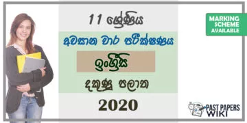 Grade 11 English Paper 2020 (3rd Term Test) | Southern Province