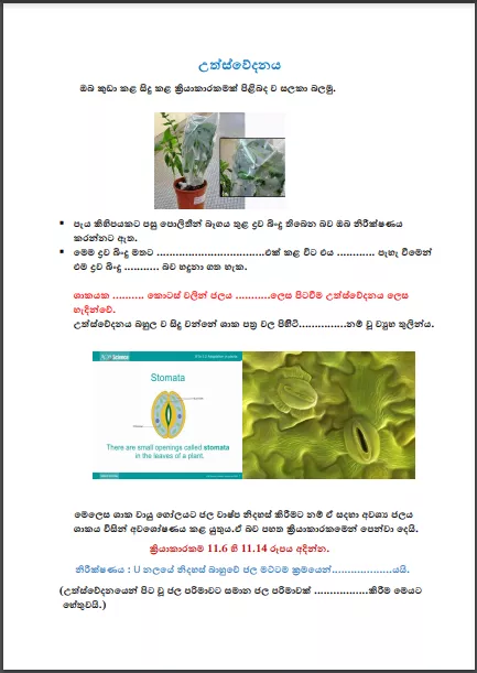 Grade 11 Science | Transpiration
