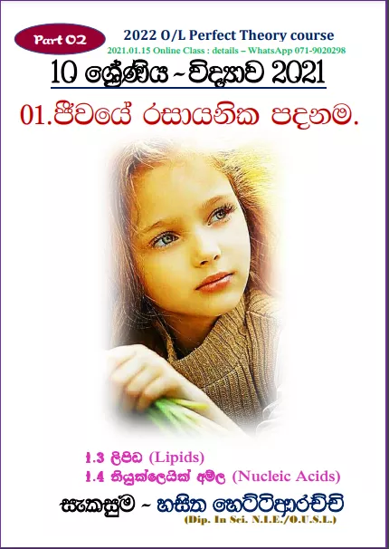 Grade 10 Science Unit 01 | Chemical Basis Of Life (3)