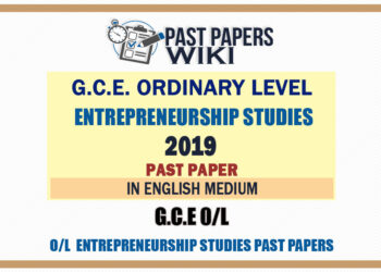2019 O/L Entrepreneurship Studies Past Paper | English Medium