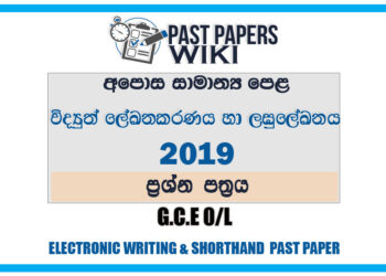 2019 O/L Electronic Writing And Shorthand Past Paper | Sinhala Medium