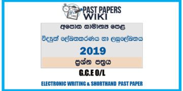 2019 O/L Electronic Writing And Shorthand Past Paper | Sinhala Medium