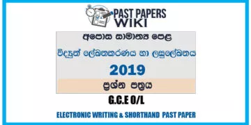 2019 O/L Electronic Writing And Shorthand Past Paper | Sinhala Medium