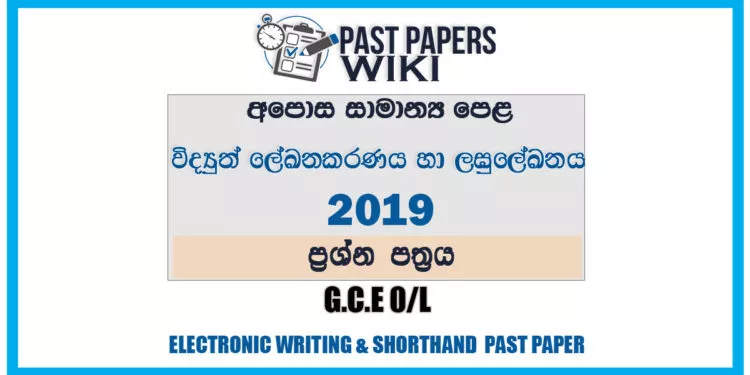2019 O/L Electronic Writing And Shorthand Past Paper | Sinhala Medium