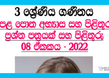 Gana Wasthu Grade 03 Mathematics Unit 08 | Questions and Answers