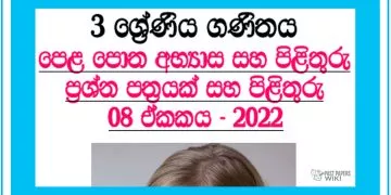 Gana Wasthu Grade 03 Mathematics Unit 08 | Questions and Answers