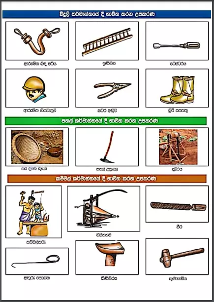 Grade 04 Environment | Apa Pariharanaya Karana de