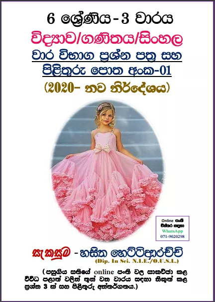 Grade 06 | 3rd Term Test Paper (1)