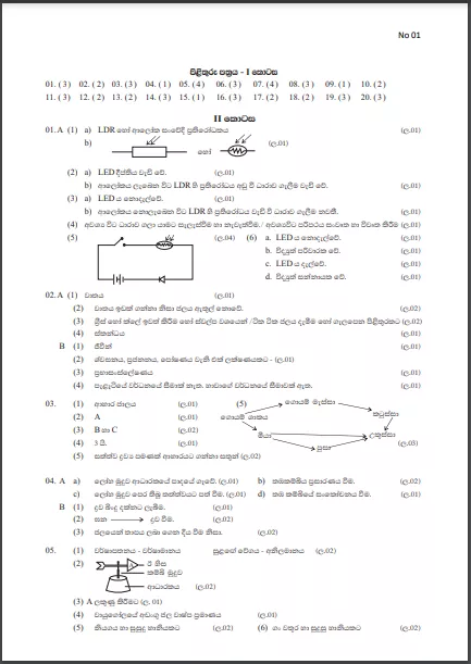 Grade 06 Science | 3rd Term Test (1) answers