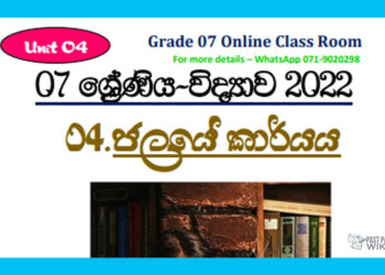 Grade 07 Science Unit 04 | Functions Of Water