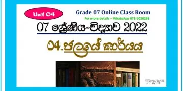 Grade 07 Science Unit 04 | Functions Of Water