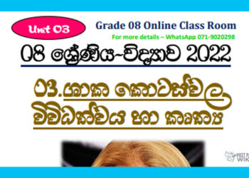 Grade 08 Science Unit 03 | Diversity And Functions Of Plant Parts