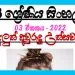 Grade 08 Sinhala Unit 03 | Aluth Awurudu Uthsawaya