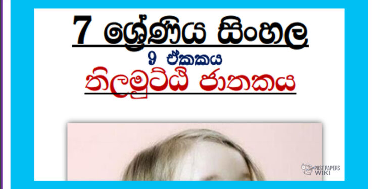 Download Grade 07 Sinhala  Unit 09 | Thilamutti jathakaya Tutorial