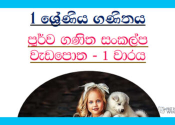 Grade 01 Mathematics | Pre Mathematical Concepts Workbook