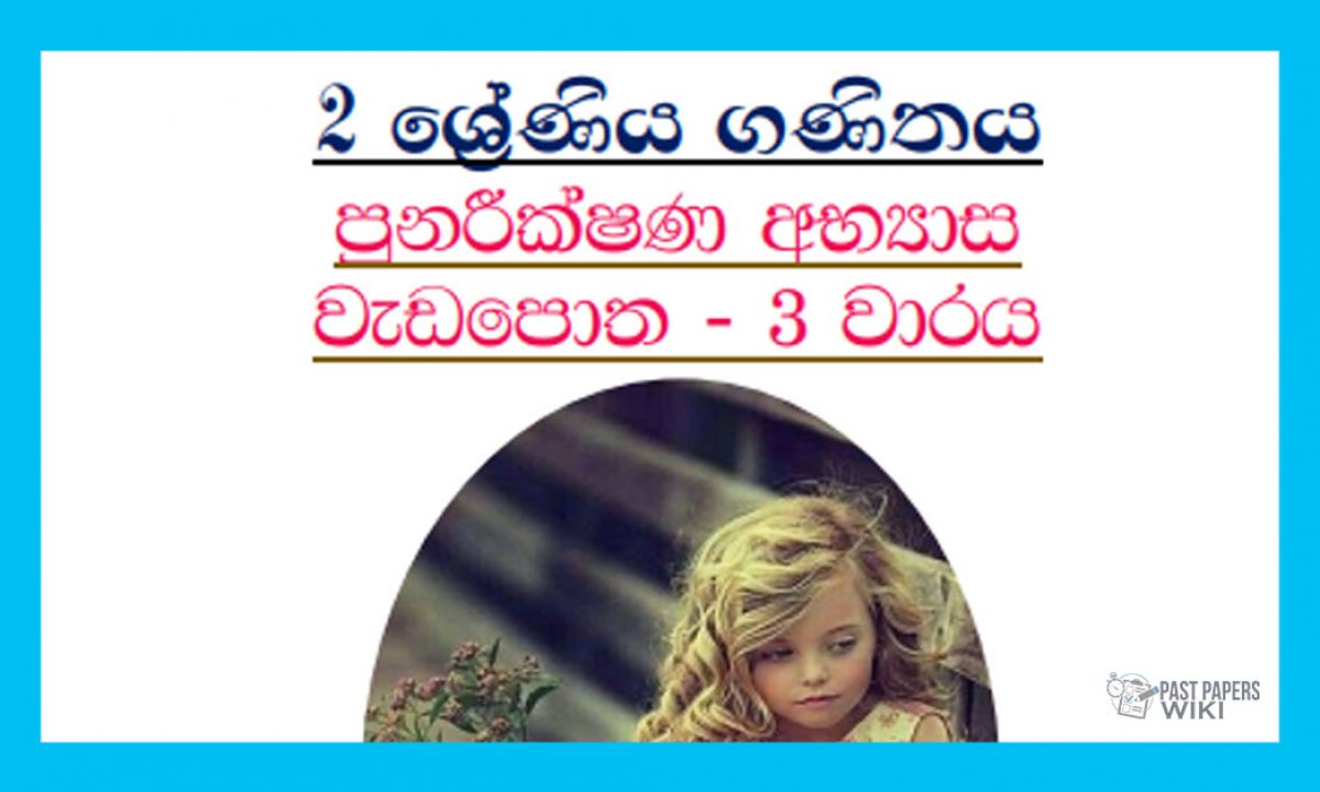 grade 2 sinhala paper set 1 word sentences 1st grade