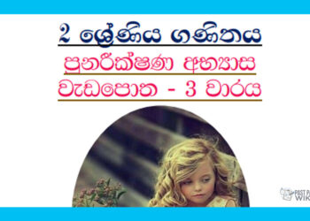 Grade 02 Mathematics | Revision Workbook – 3rd Term