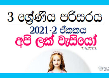 Grade 03 Environment | Unit 02 – Api Lak Wesiyo (1) – 2021