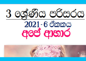 Grade 03 Environment | Unit 06 – Our Foods – 2021