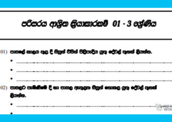 Grade 03 Environment – Unit 01 | Environmental activities