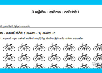Grade 03 Mathematics | Assignment 1