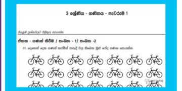Grade 03 Mathematics | Assignment 1
