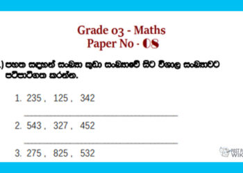 Grade 03 Mathematics | Paper No 08