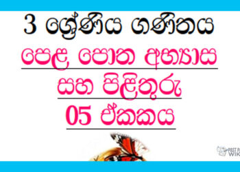 Grade 03 Mathematics | Unit 05 Questions and Answers