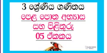 Grade 03 Mathematics | Unit 05 Questions and Answers