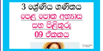 Grade 03 Mathematics | Unit 09 Questions and Answers