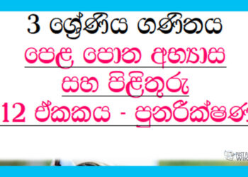 Grade 03 Mathematics | Unit 12 Questions and Answers