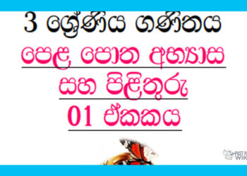 Grade 03 Mathematics questions & answers book 1