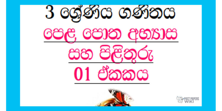 Grade 03 Mathematics questions & answers book 1