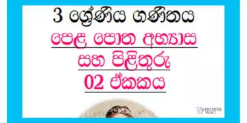 Grade 03 Mathematics questions & answers book 2