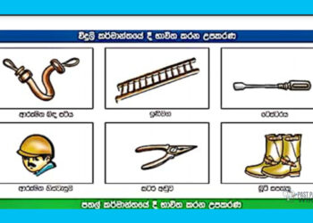 Grade 04 Environment | Apa Pariharanaya Karana de